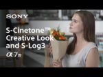 Sony Alpha A7 IV Mirrorless Camera with 28-70mm Lens Kit (ILCE-7M4K) - Image 8