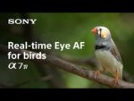 Sony Alpha A7 IV Mirrorless Camera with 28-70mm Lens Kit (ILCE-7M4K) - Image 9