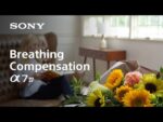 Sony Alpha A7 IV Mirrorless Camera with 28-70mm Lens Kit (ILCE-7M4K) - Image 11